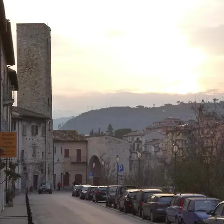 Ascoli Domus